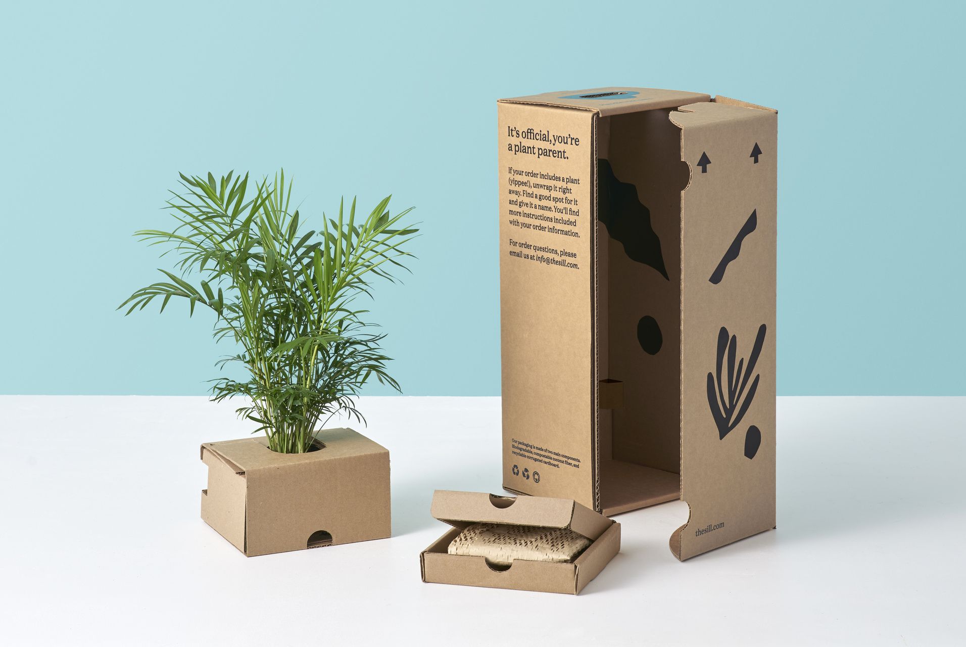 custom packaging