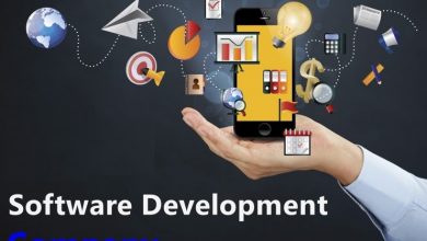 software development company