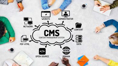 Web and CMS Development Services