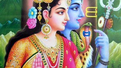 Top 8 Fascinating Facts About Goddess Parvati
