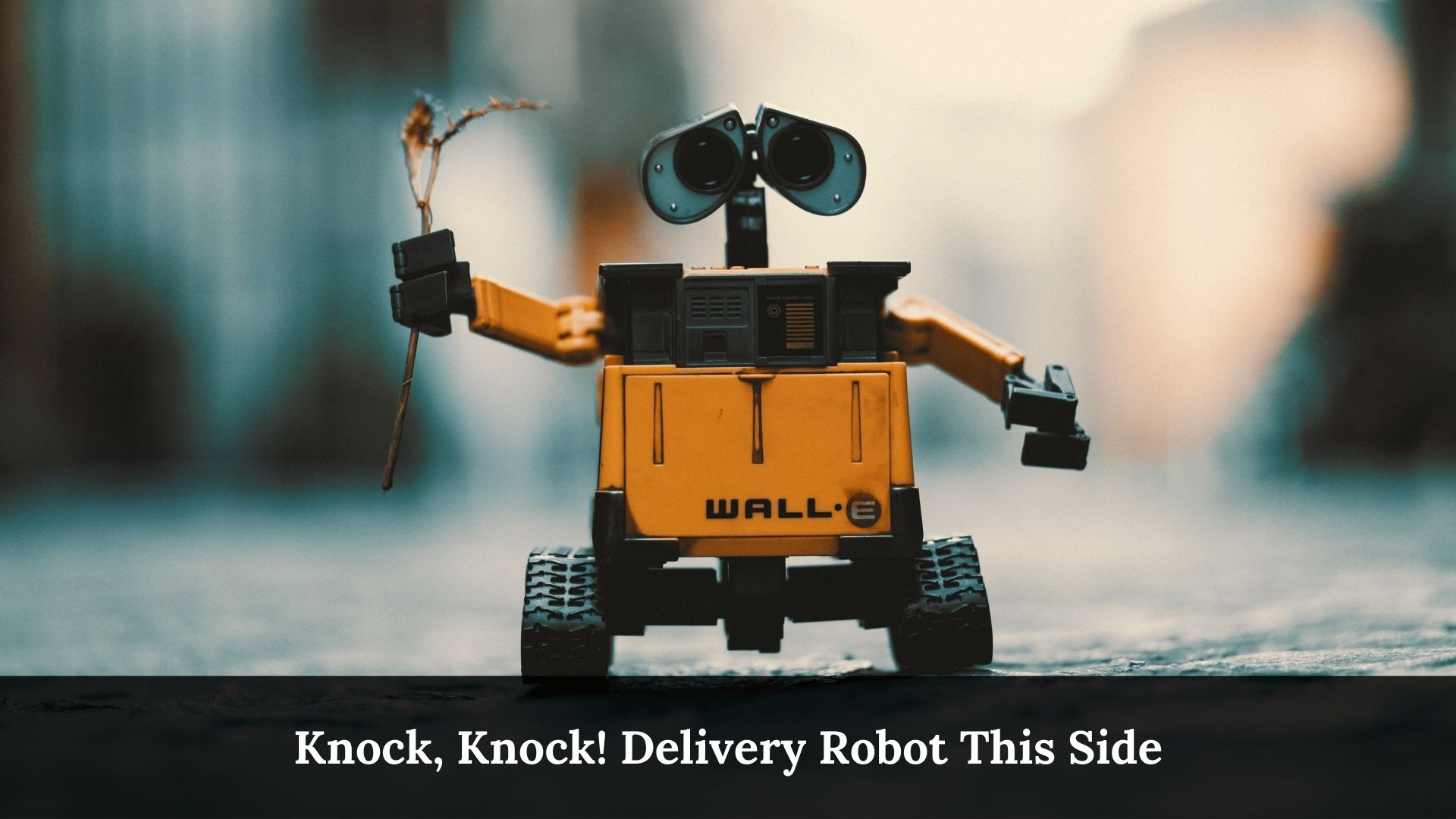 Delivery Robot