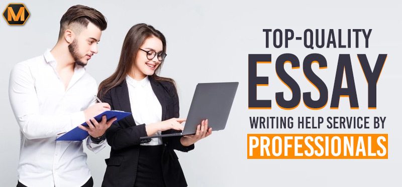 professional essay writers
