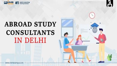Top Study Abroad Consultants in Delhi