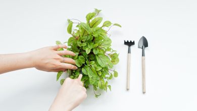 Gardening Tools