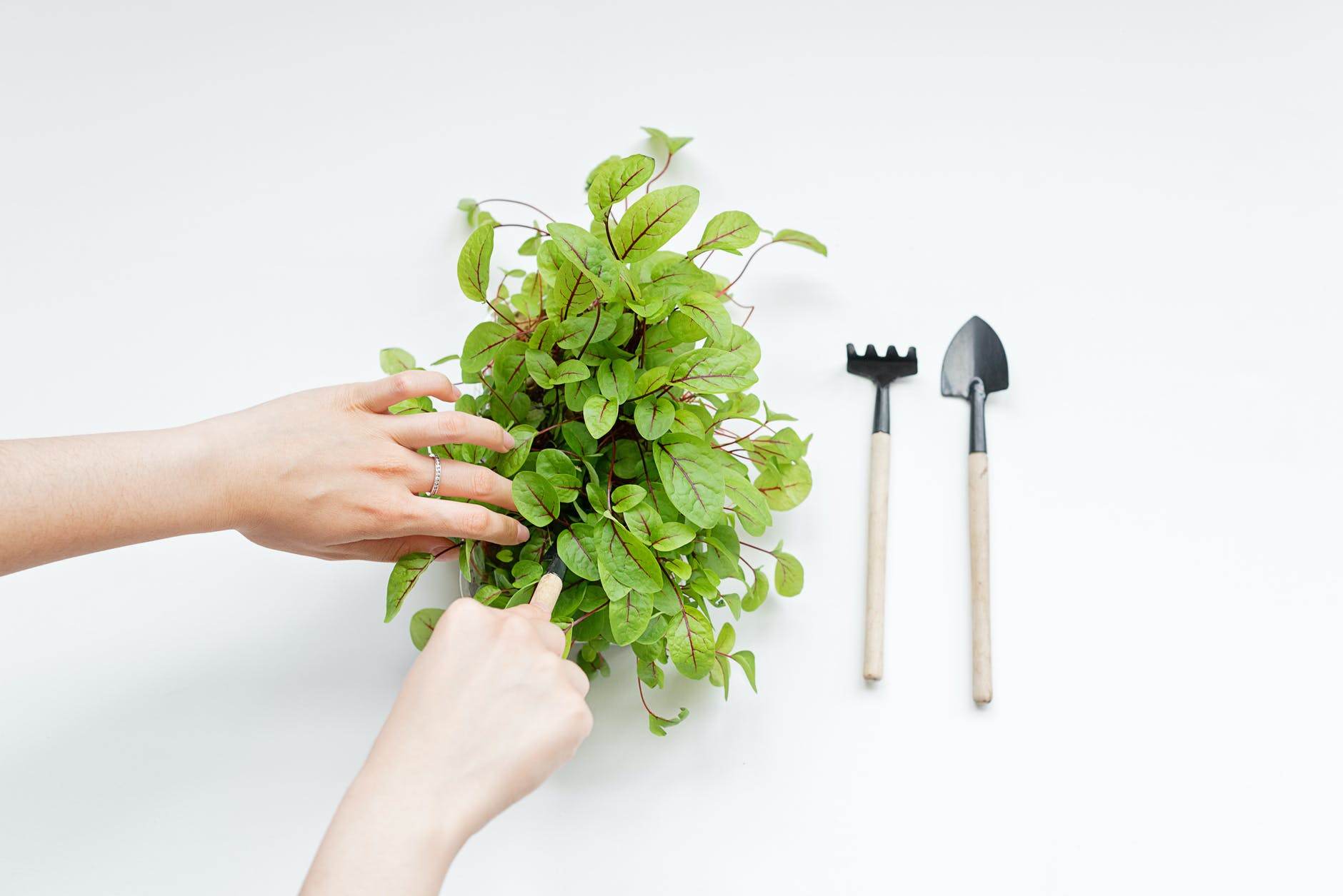 Gardening Tools