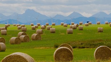 farm insurance Claresholm