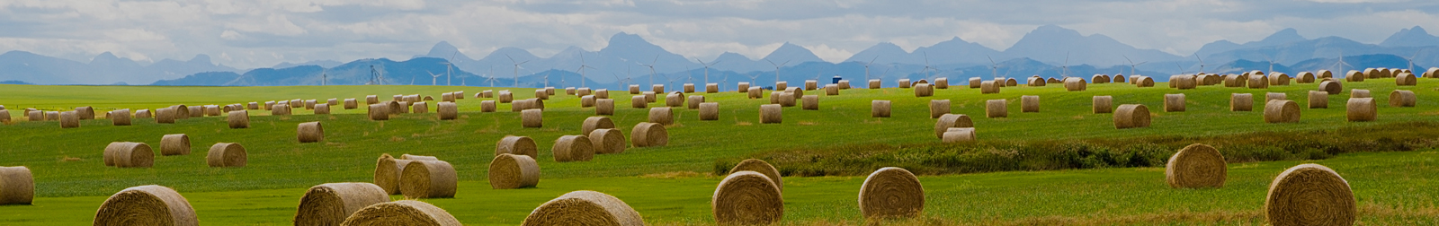 farm insurance Claresholm