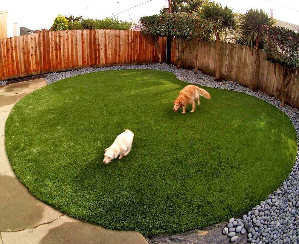 artificial grass for pets