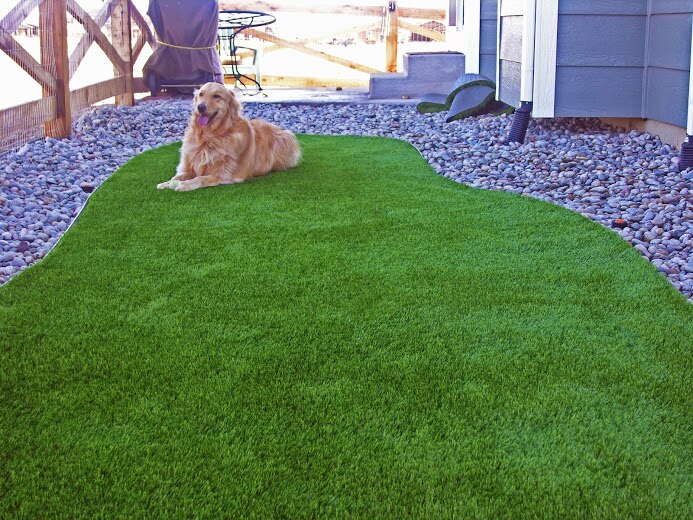 artificial grass for pets