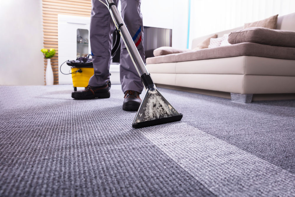 carpet cleaning