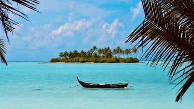 things to do in lakshadweep