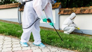 residential pest control brisbane
