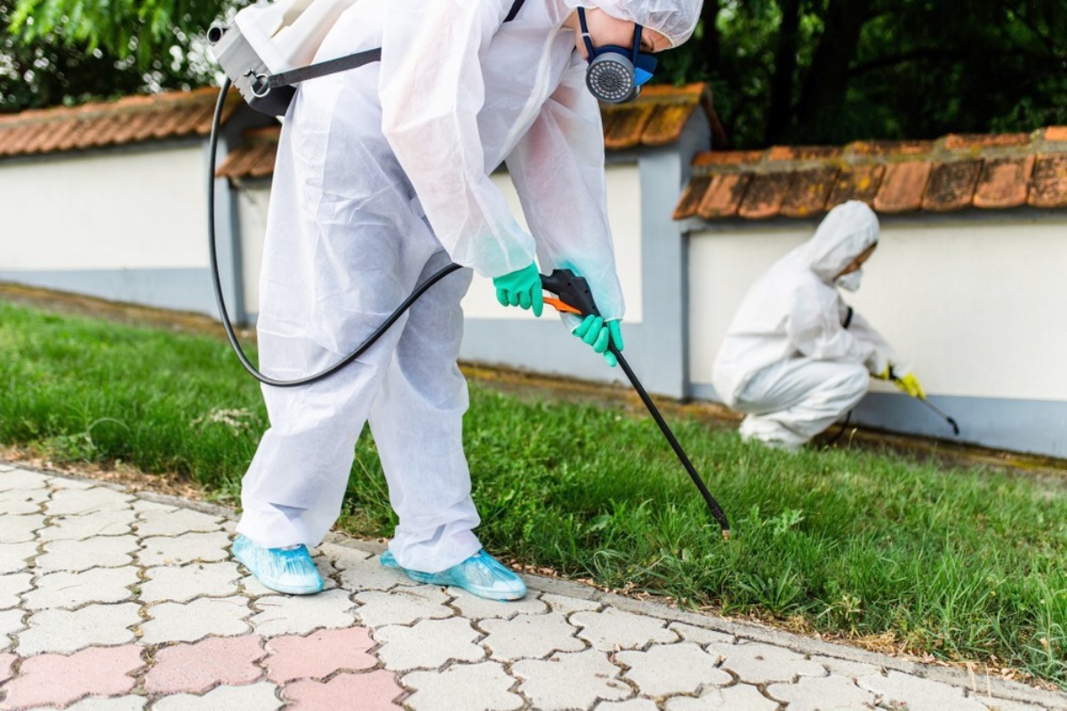 residential pest control brisbane