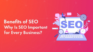 Why-SEO-is-important-of-business