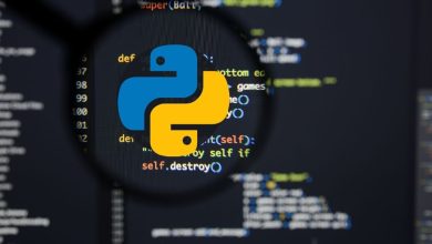 python job support