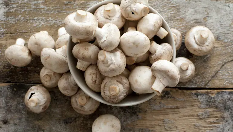 mushrooms