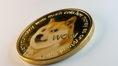Dogecoin Price Prediction