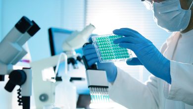 What is the Role of a Contract Research Organization (CRO)