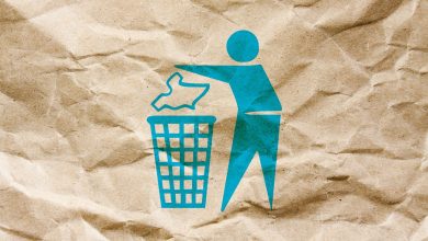 How Different Types Of Materials Are Recycled