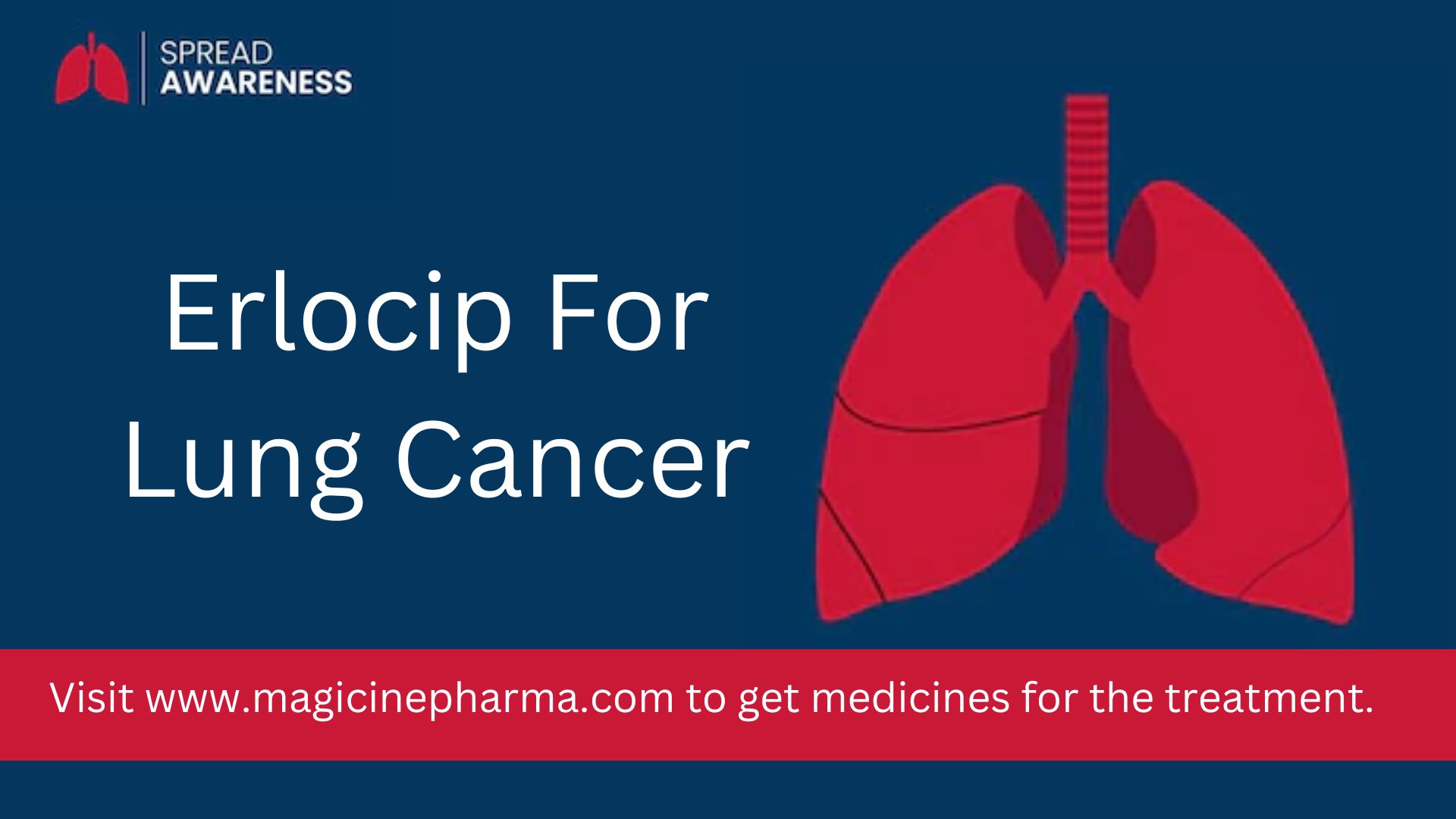 Erlocip For Lung Cancer