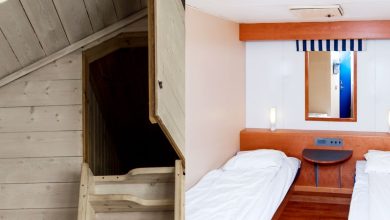 The Best Kids Cabin Bed For Your Child's Next Adventure