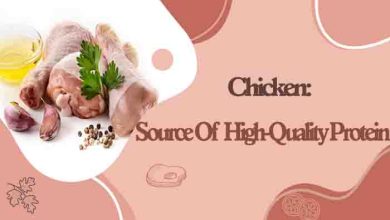 Chicken Source Of High-Quality Protein