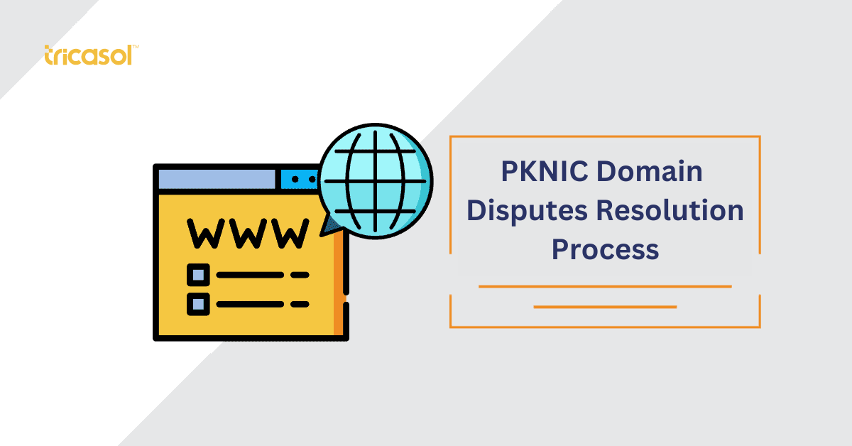 PKNIC Domain